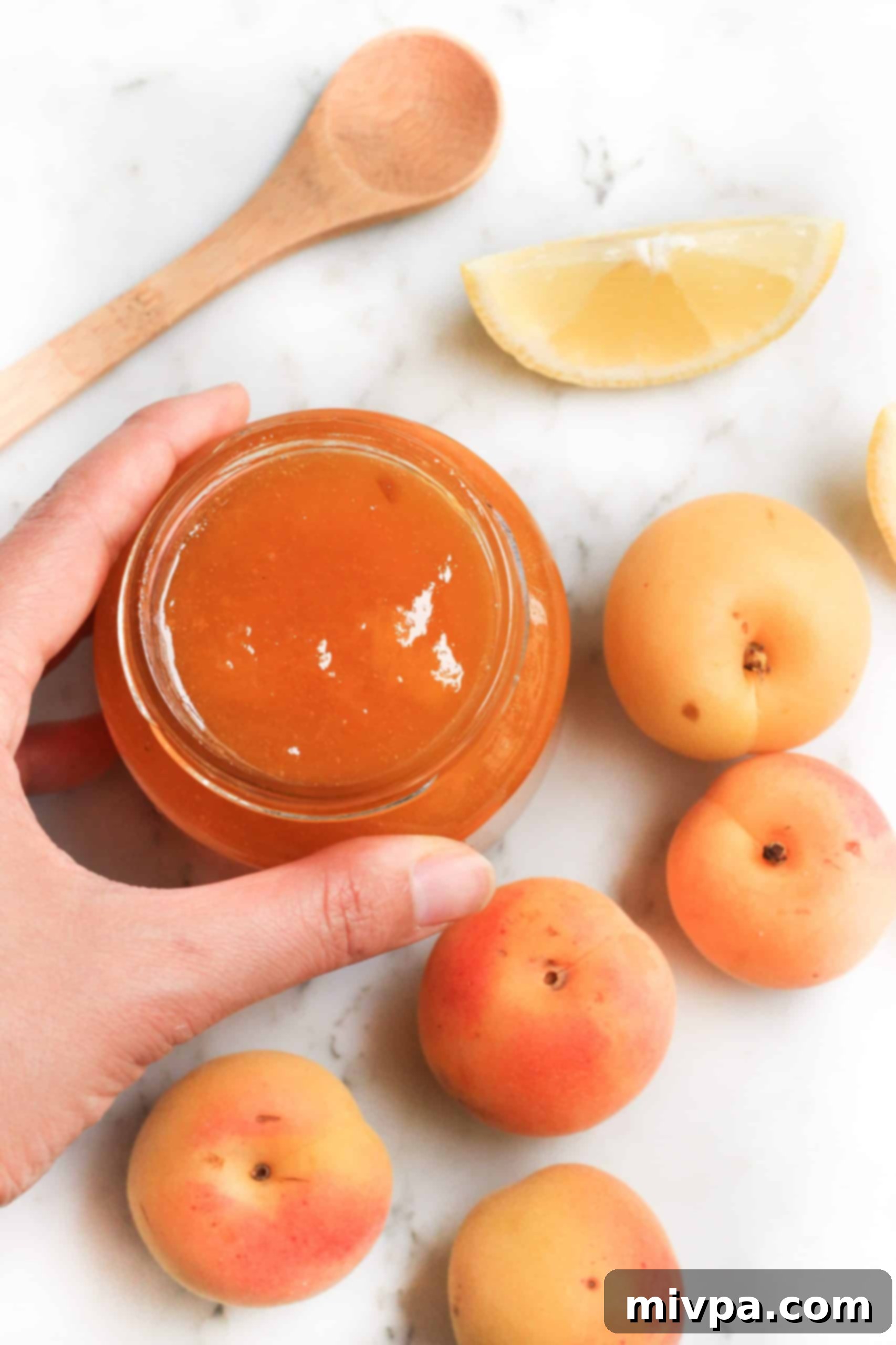 Hand holding an open jar of homemade apricot jam surrounded by fresh apricots.