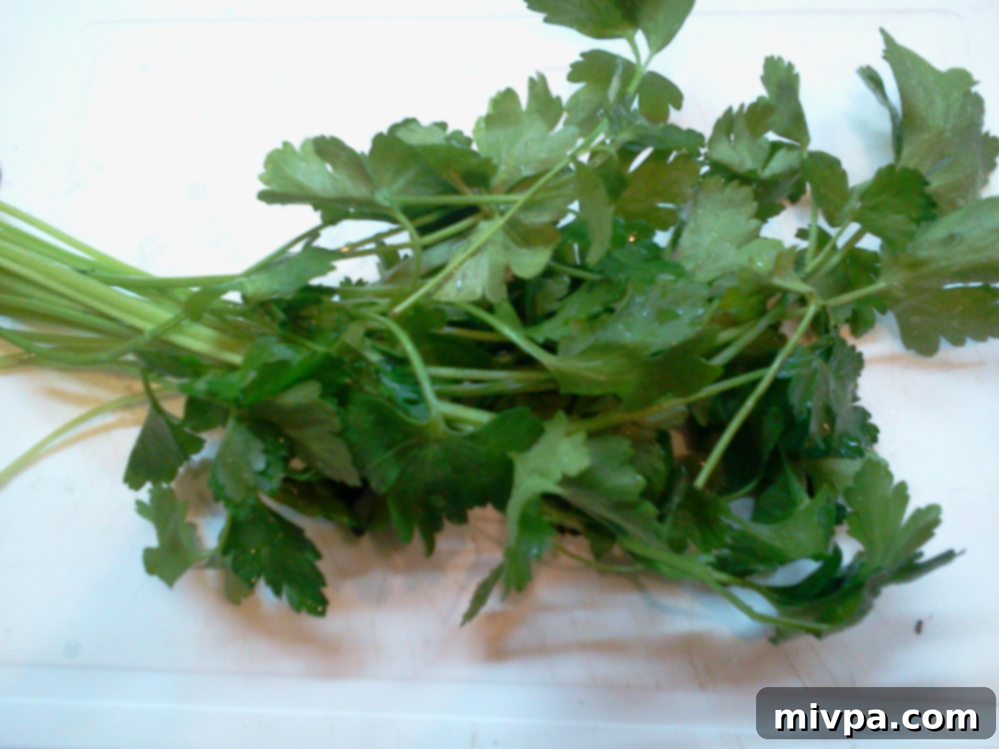 Close-up of fresh green parsley sprigs, vibrant and ready for chopping.