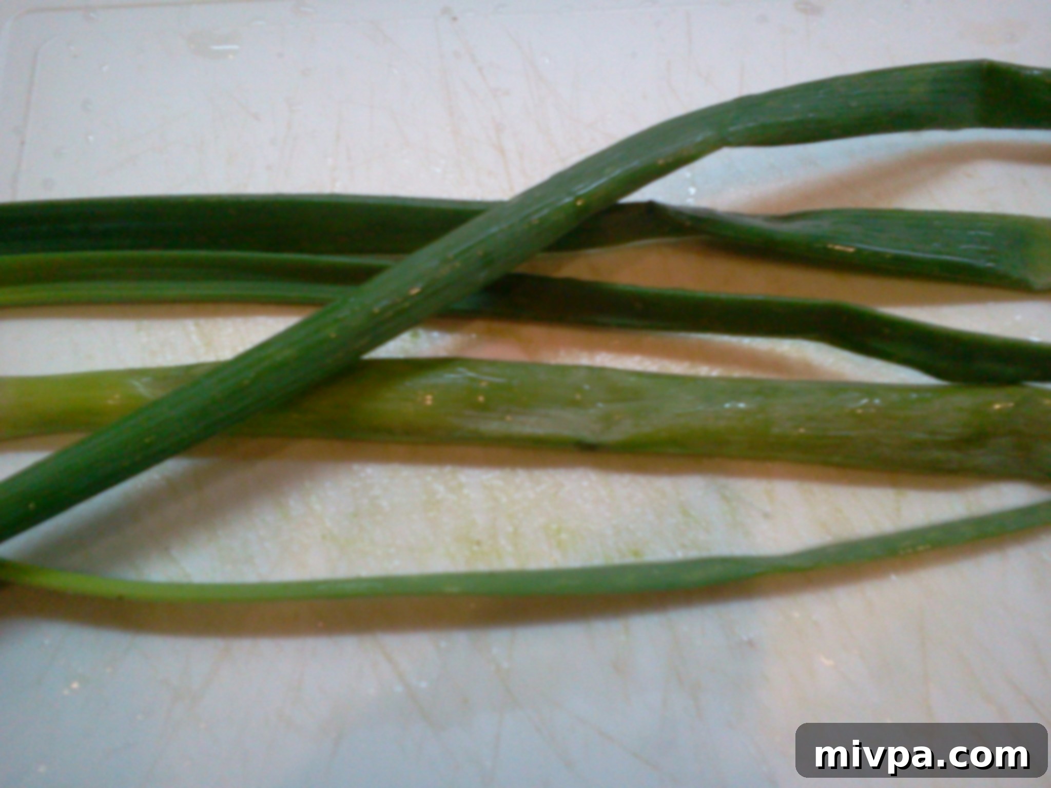 Bundle of fresh green spring onions, ready for preparation.