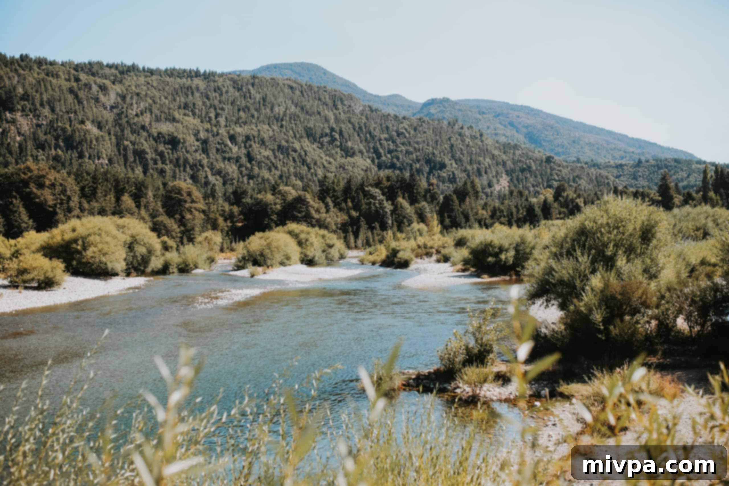Clear blue skies over Bariloche's natural beauty