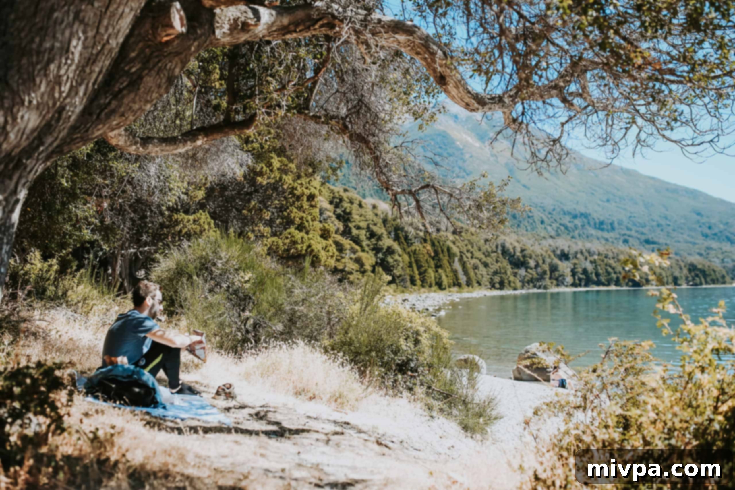 Panoramic view of Lácar Lake in San Martin de Los Andes