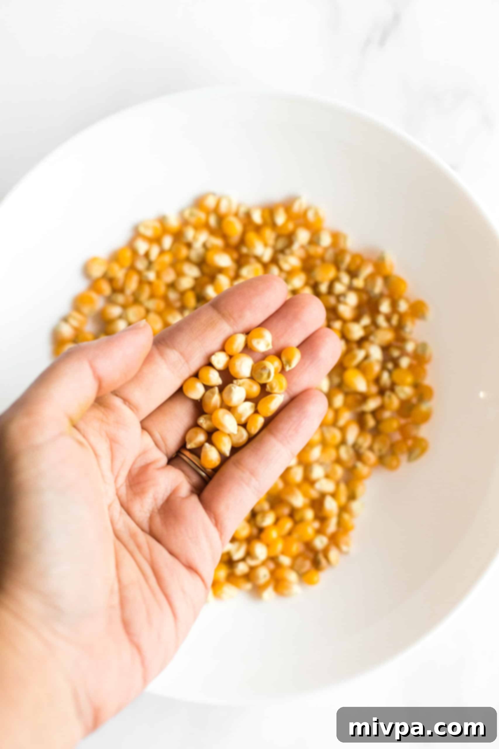 Easy Stovetop Popcorn (with Microwave option) A hand holding up yellow popcorn kernels.