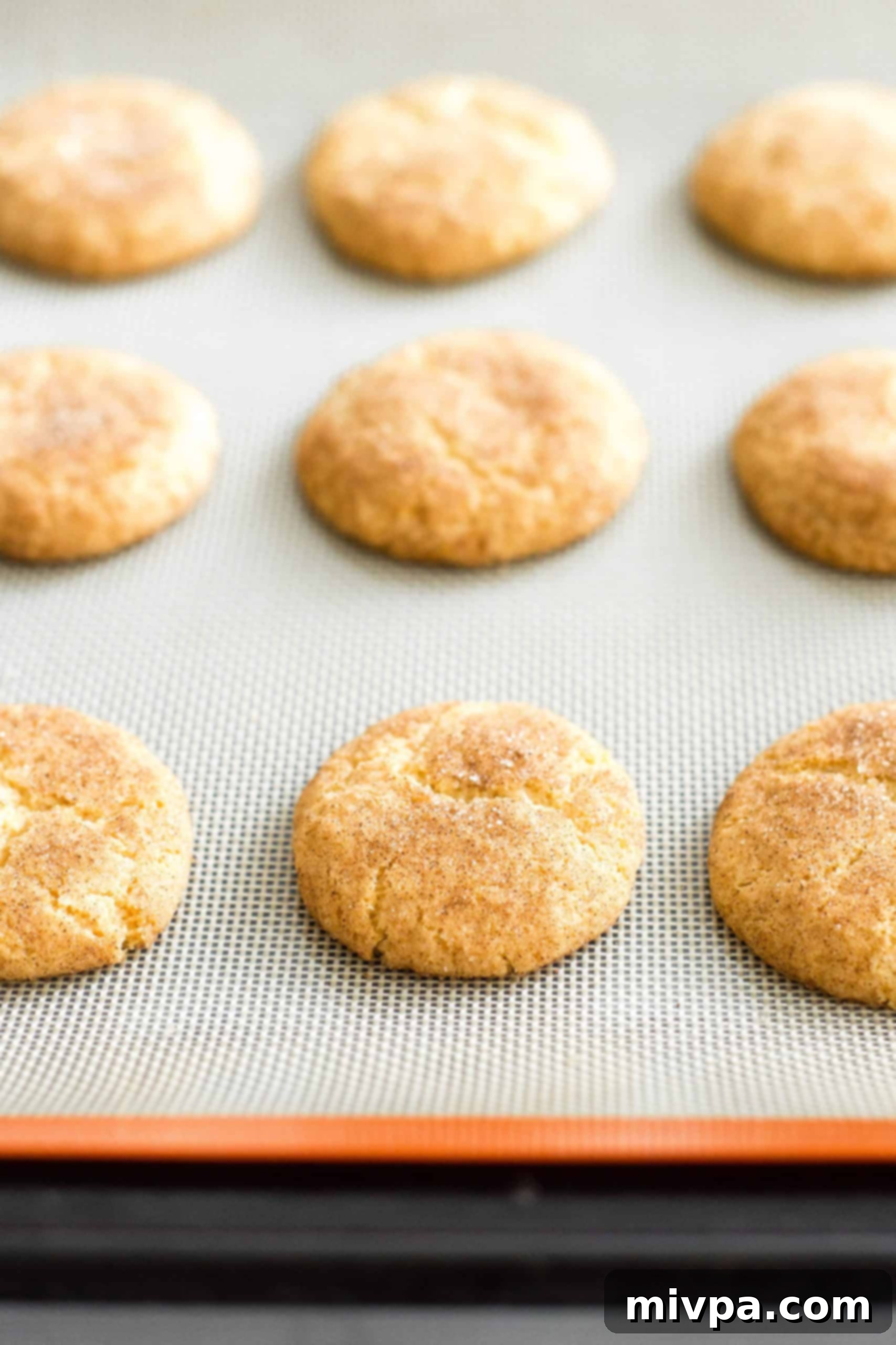 Freshly baked gluten-free and dairy-free snickerdoodle cookies cooling on a baking sheet, showing their golden brown edges.