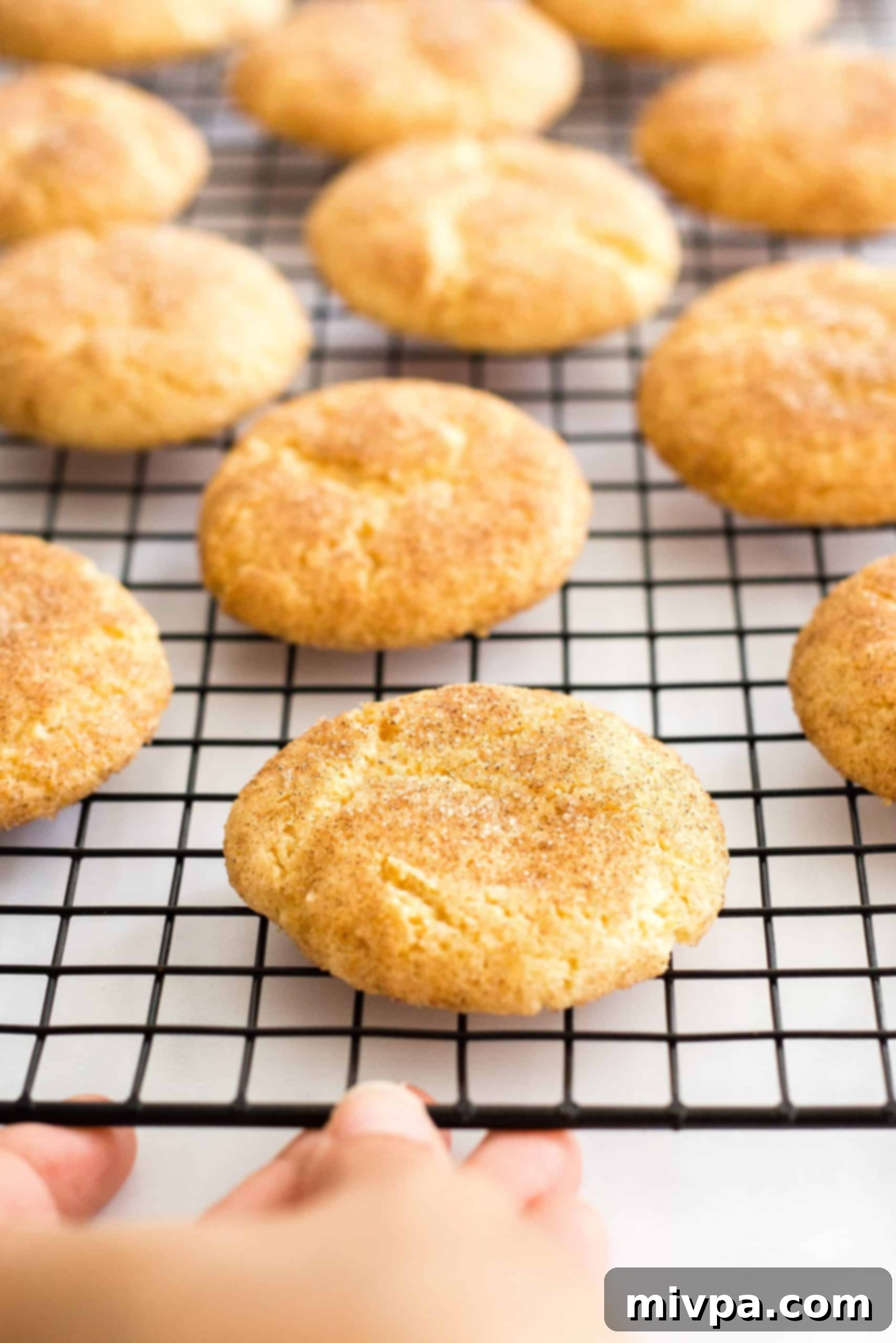 A hand holding a wire cooling rack with multiple gluten-free snickerdoodles, showcasing their perfect shape and texture.