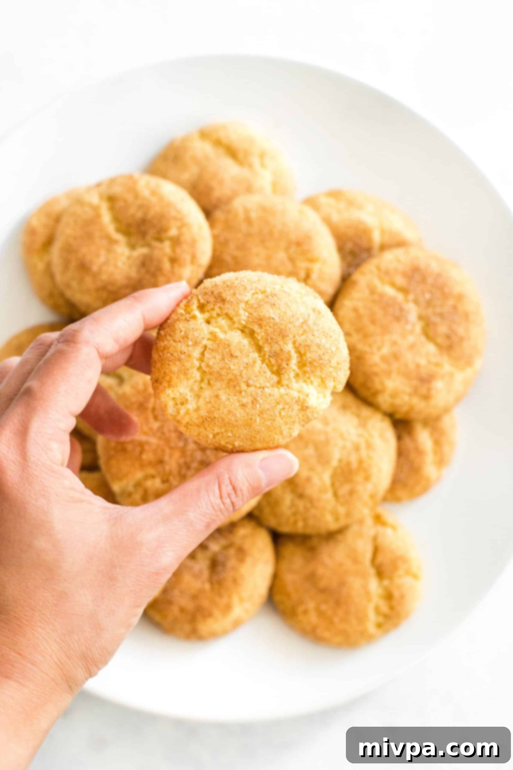 A hand holding up a single golden-brown gluten-free snickerdoodle cookie with a light dusting of cinnamon sugar, ready to eat.