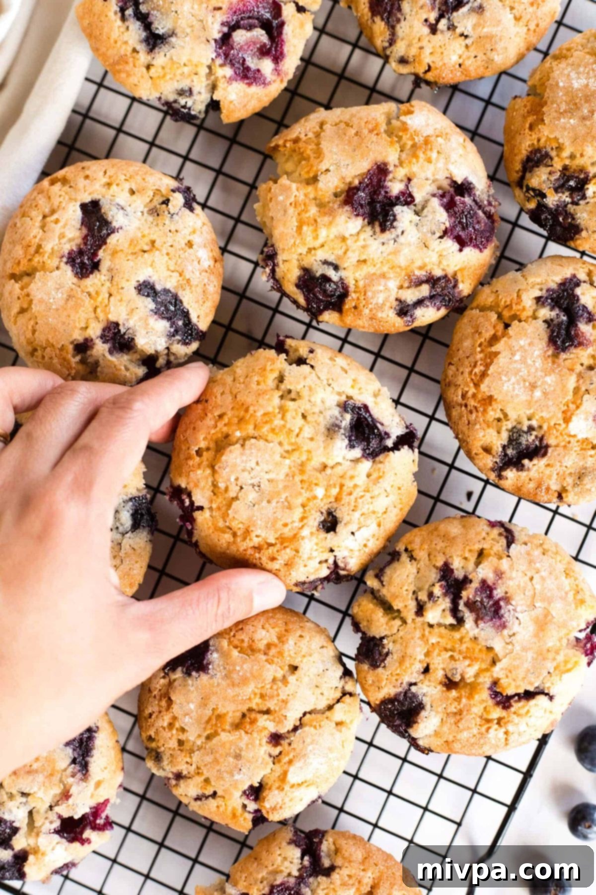 Hand reaching for a gluten-free blueberry muffin from cooling rack