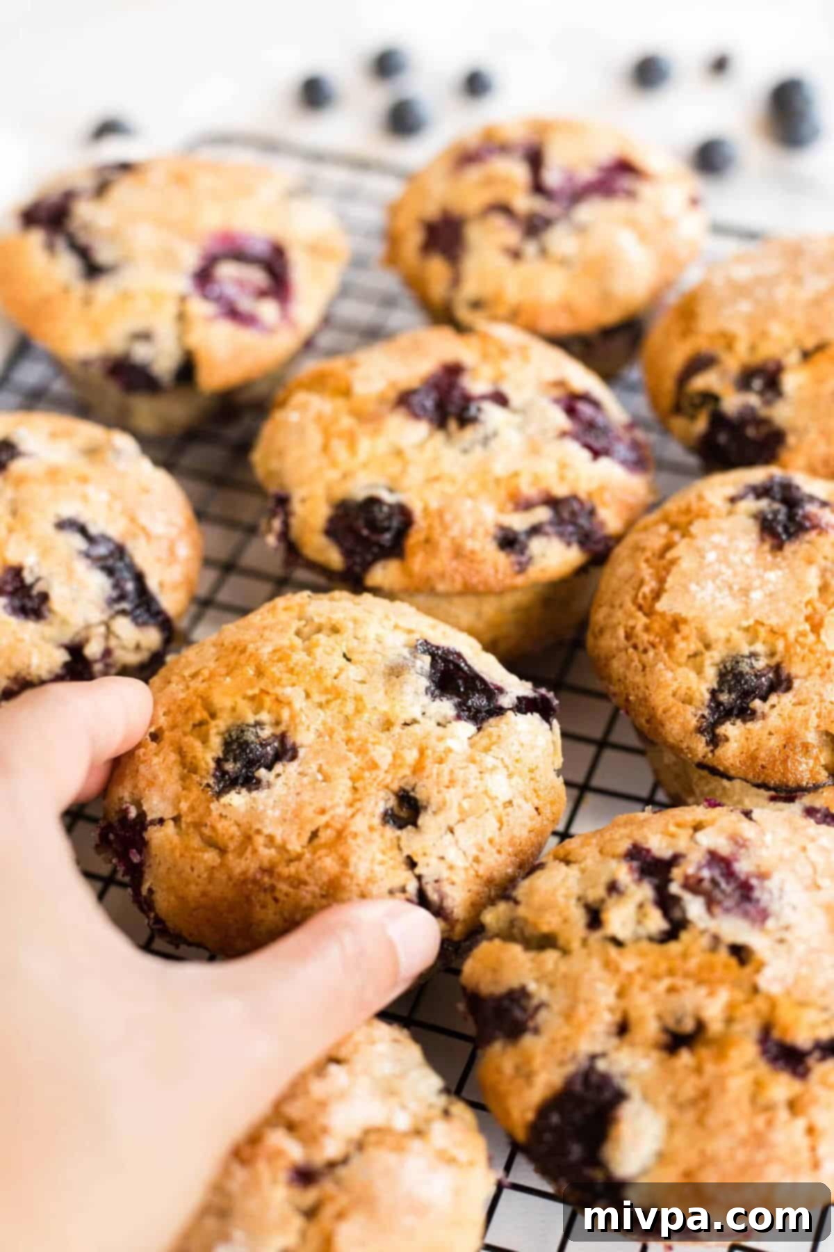Hand reaching for gluten-free dairy-free blueberry muffins.