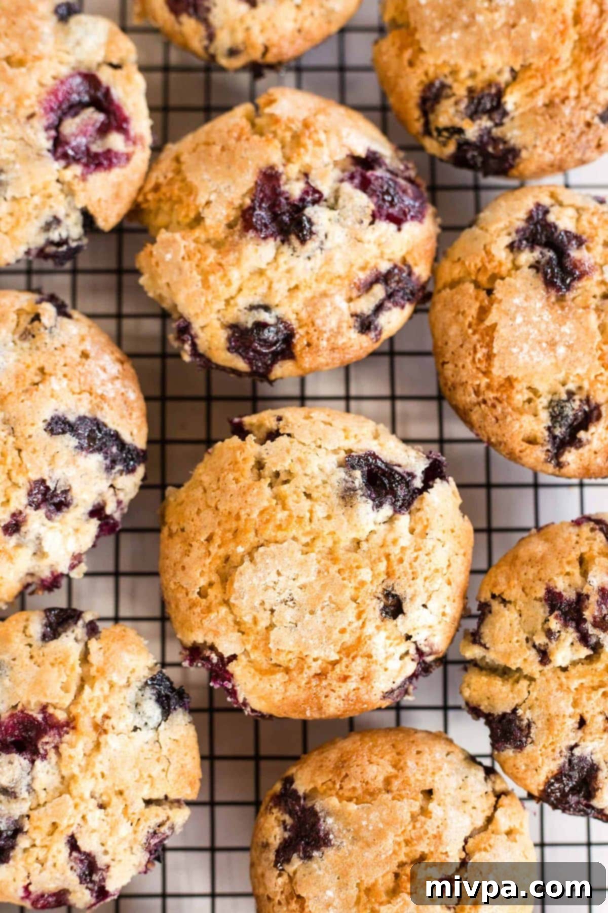 Top down view of dairy-free blueberry muffins on wire rack.