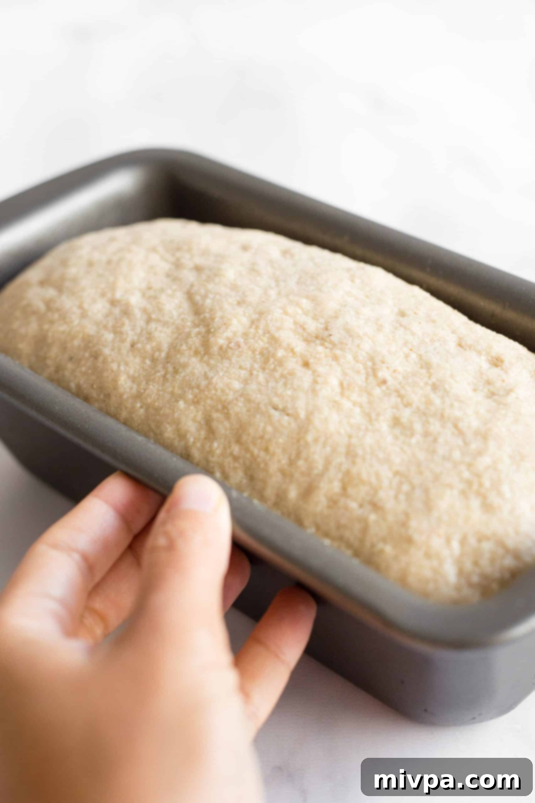 Hand holding a loaf pan with risen brown rice bread dough.