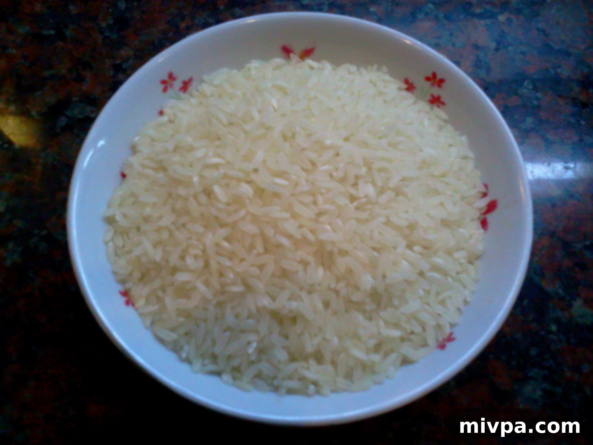 A bowl filled with uncooked Arborio risotto rice, the key ingredient for a creamy risotto.