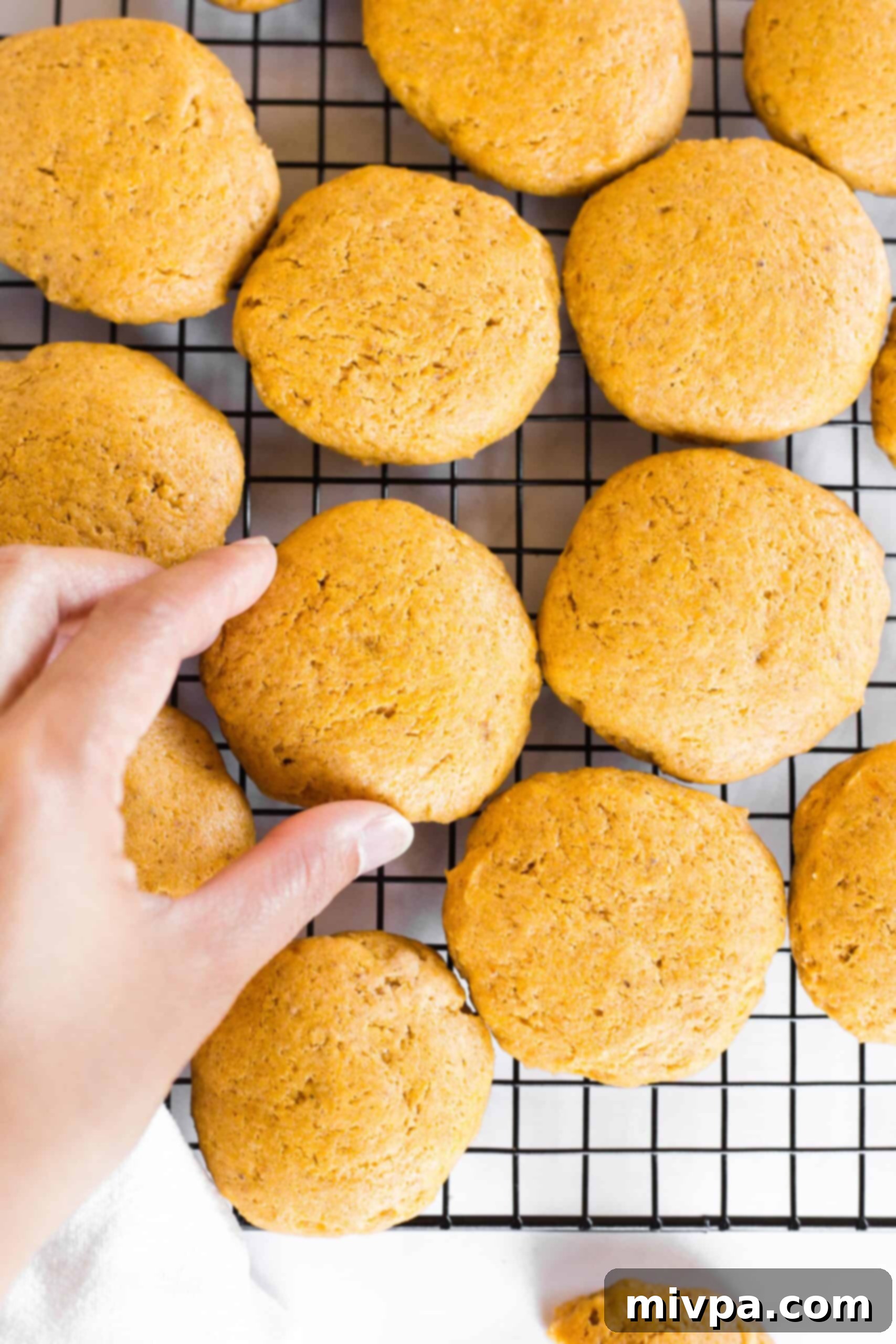 Hand reaching for gluten-free pumpkin cookies on a wire rack.