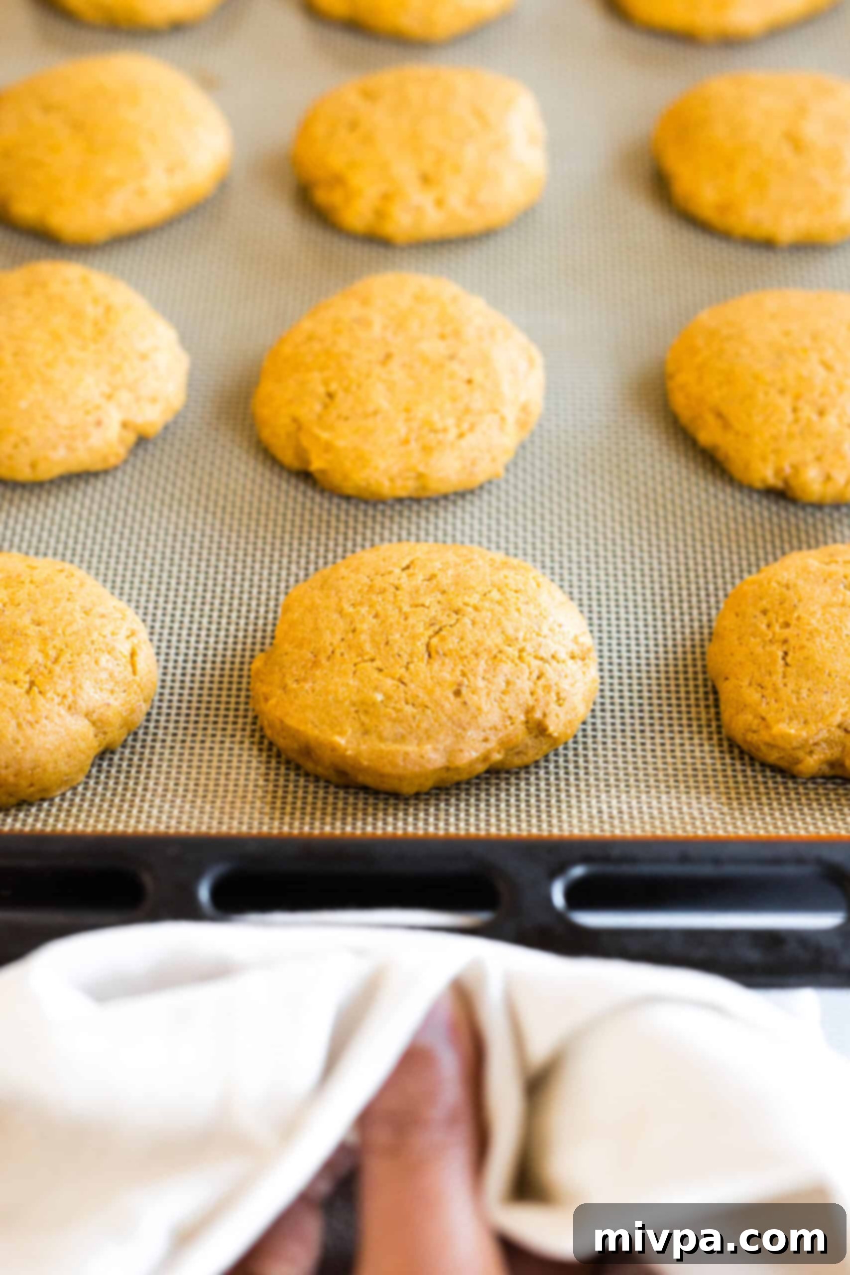 Hand pulling out a cookie sheet with gluten-free cookies.