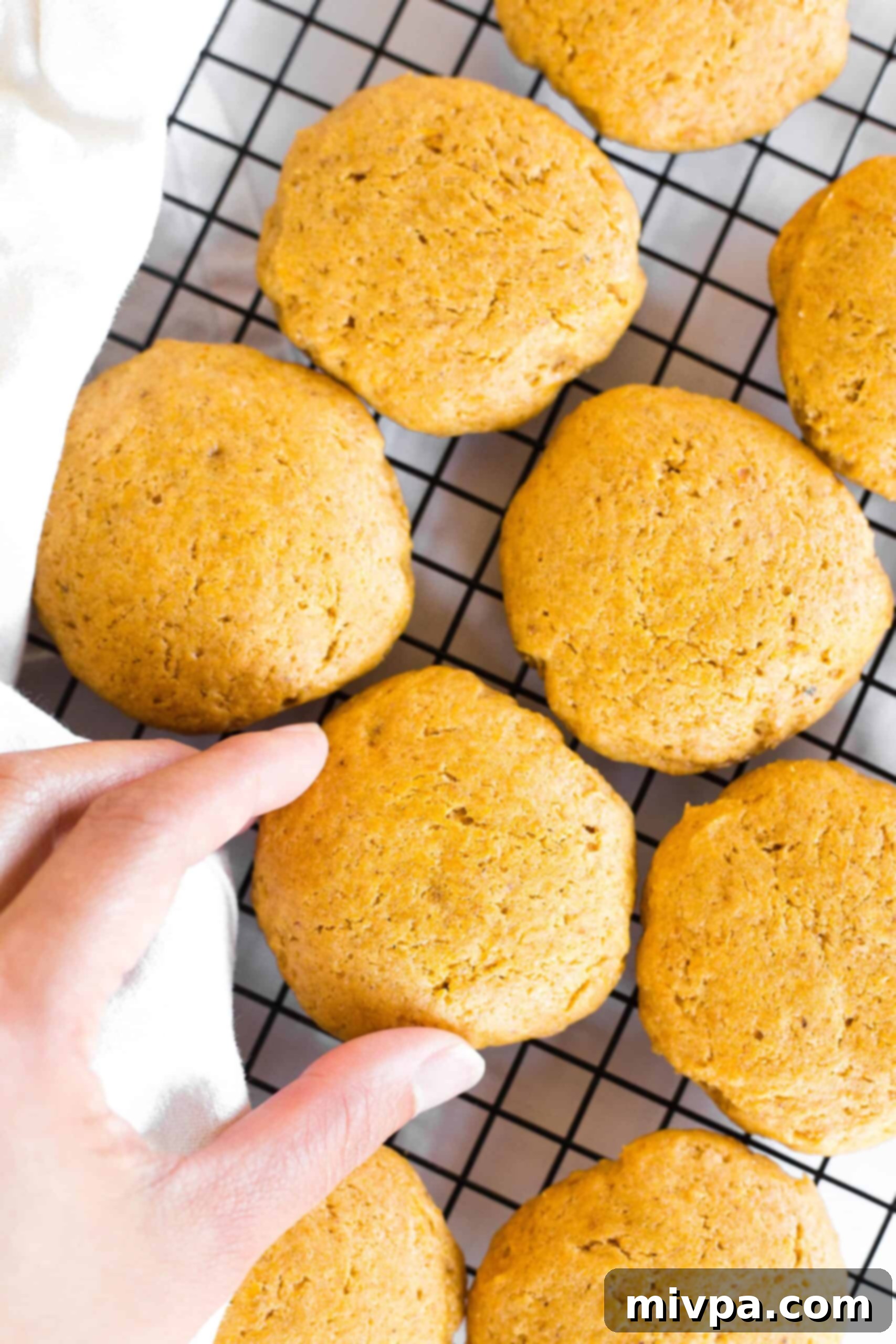 Reaching for a pumpkin cookie on a cooling rack.