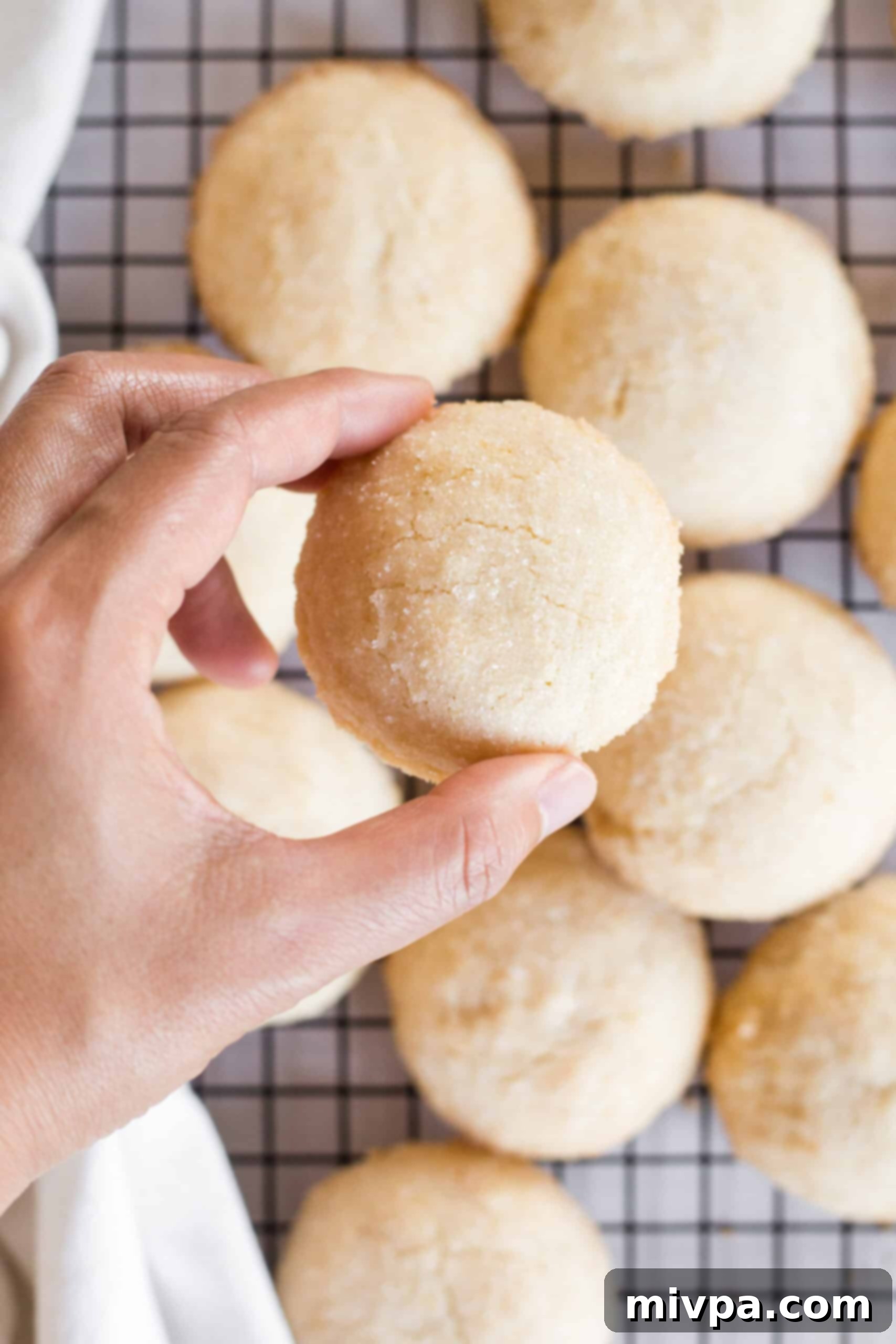 Soft, Chewy Gluten-Free Sugar Cookies (Dairy-Free) A hand holds up a perfectly baked gluten-free sugar cookie, showcasing its golden edge and soft center.