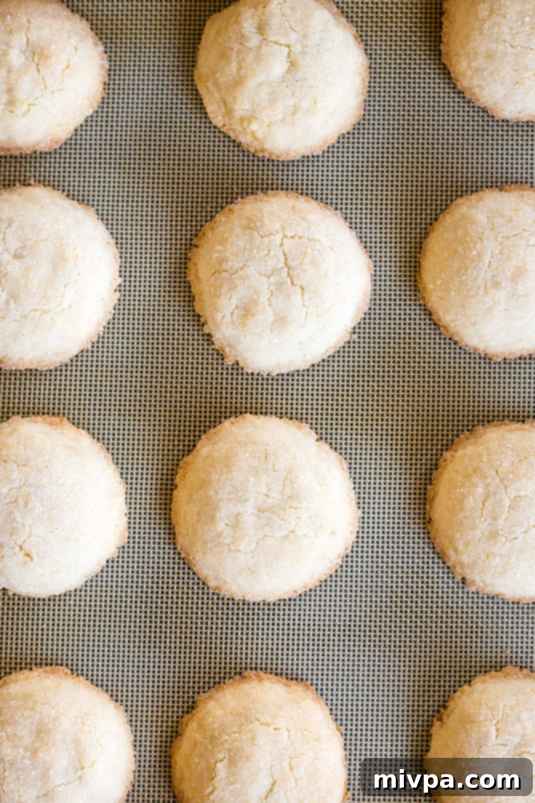Freshly baked sugar cookies cooling on a silpat, showing golden edges.