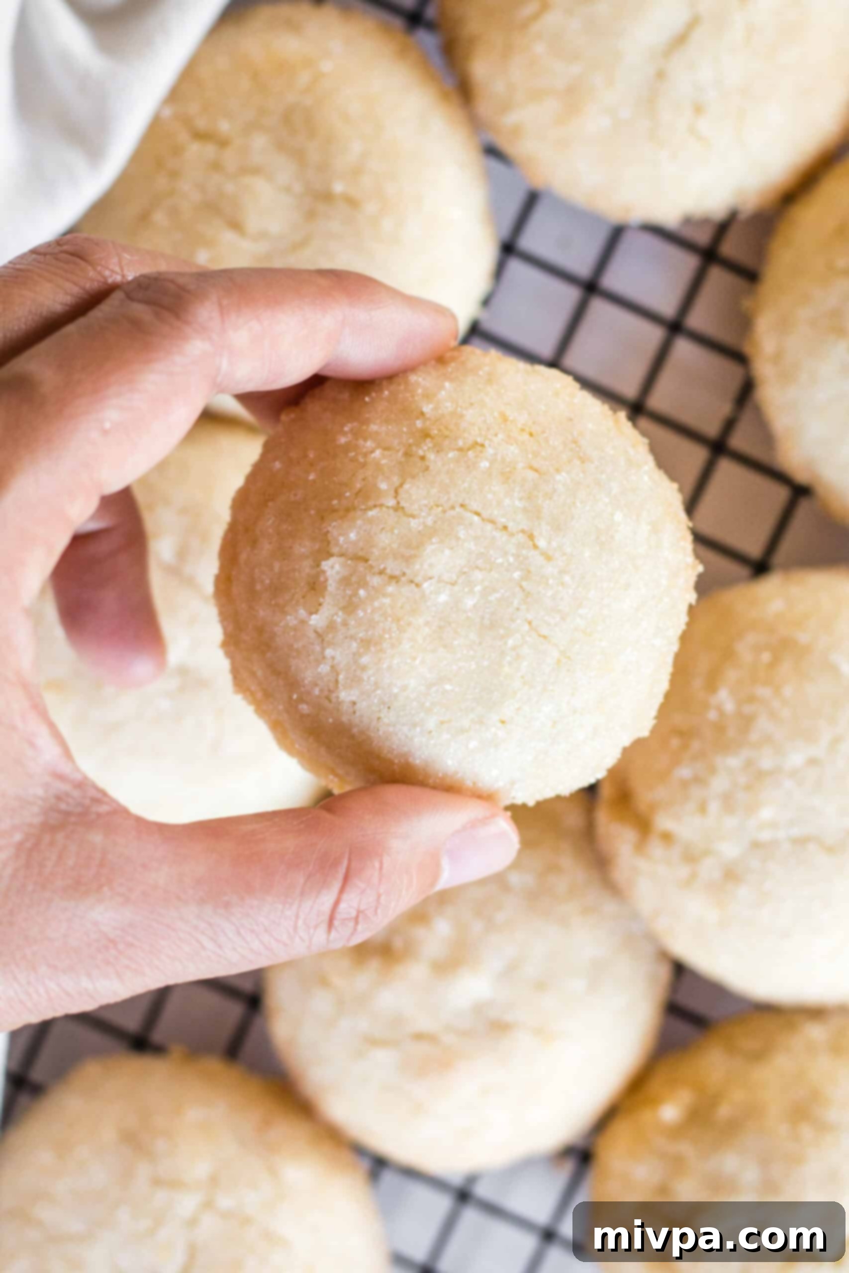 Soft, Chewy Gluten-Free Sugar Cookies (Dairy-Free) A hand lifts a perfectly baked sugar cookie from a wire cooling rack, ready to be enjoyed.