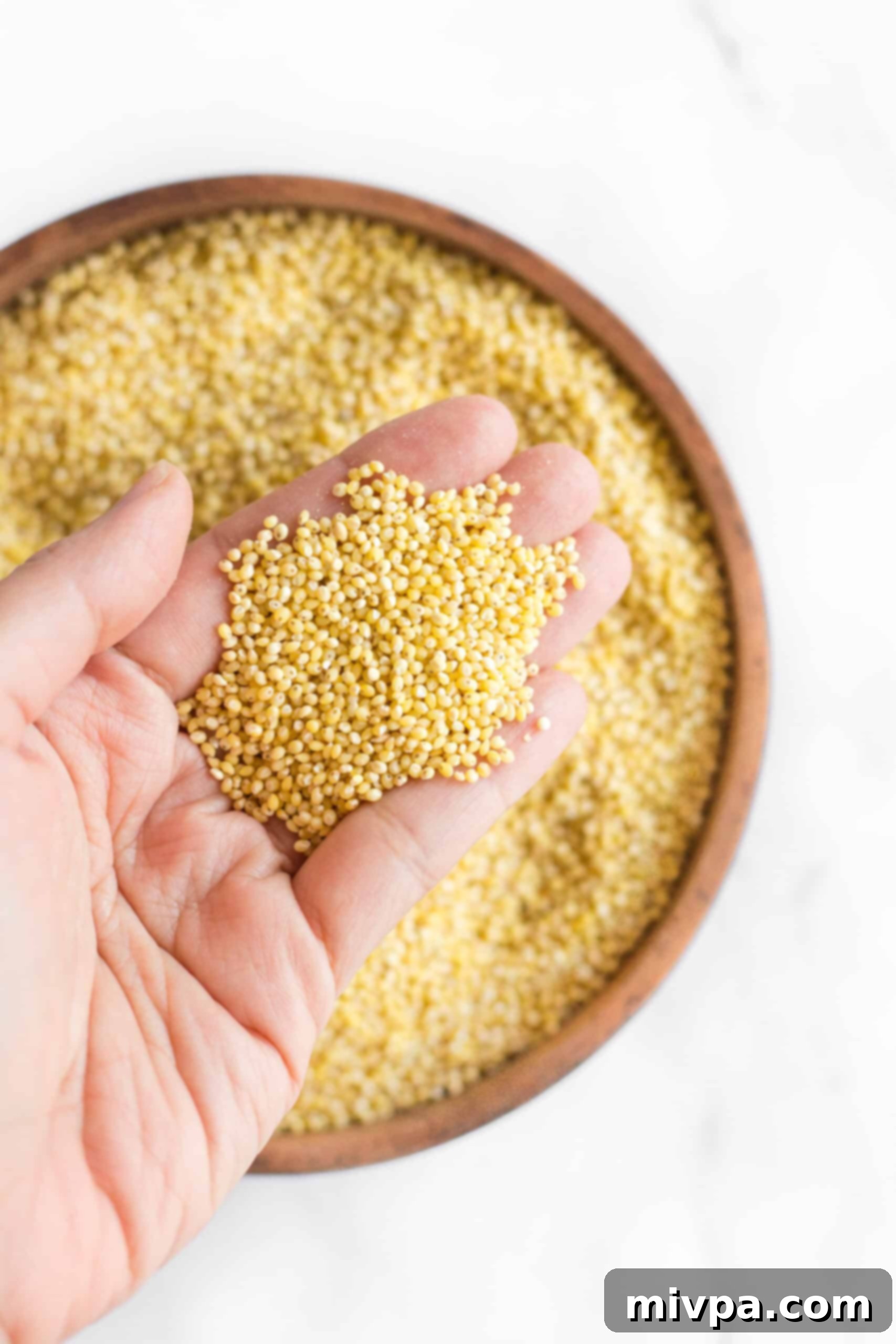 Holding up a handful of hulled millet seeds.