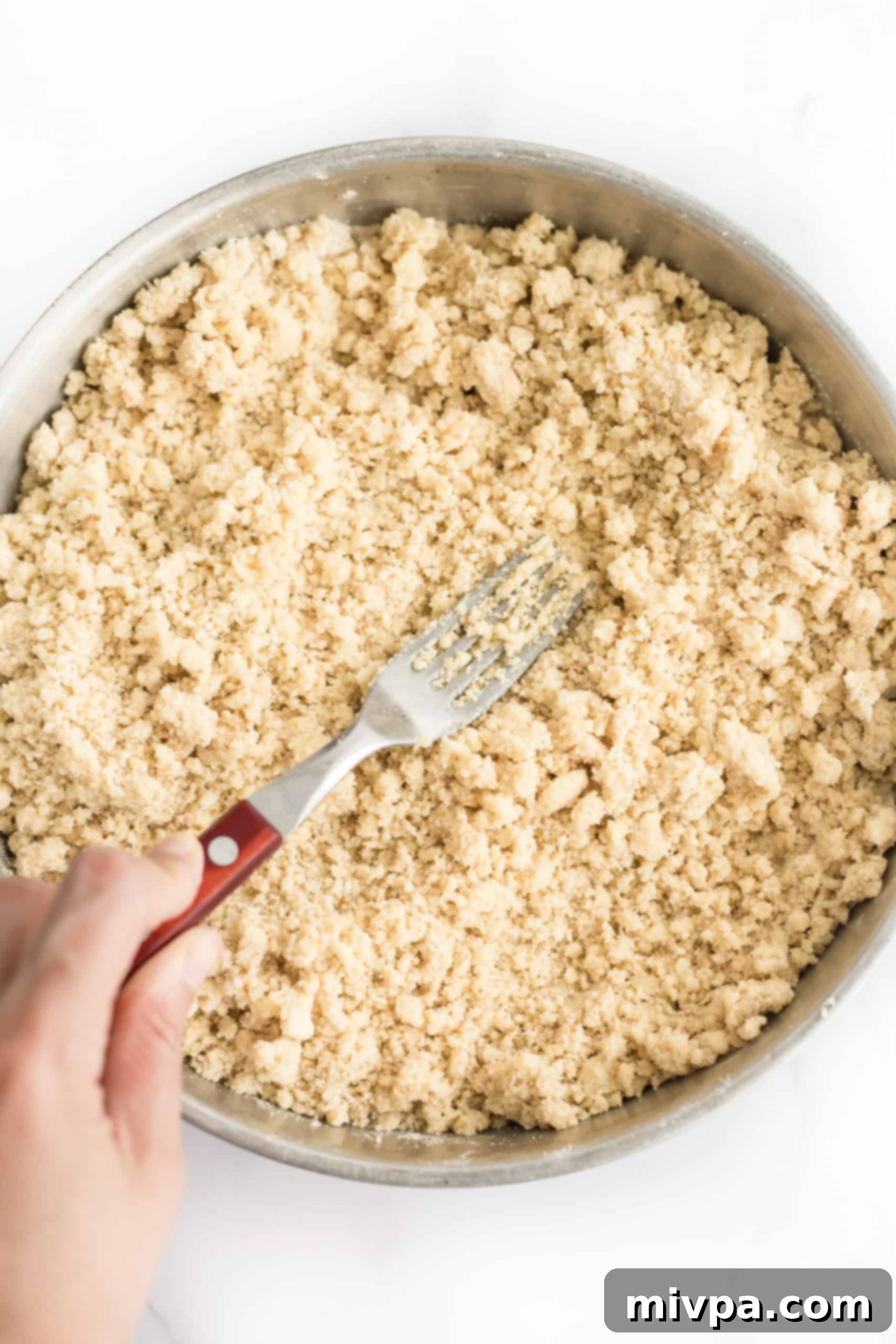 Easy Cashew Nut Cookies (Gluten-Free, Dairy-Free) - Perfect sandy texture Close-up of flour mixture with butter cut in, showing a wet sand-like texture.