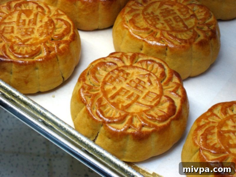 Traditional Chinese mooncakes, round or square, with intricate patterns on the crust.
