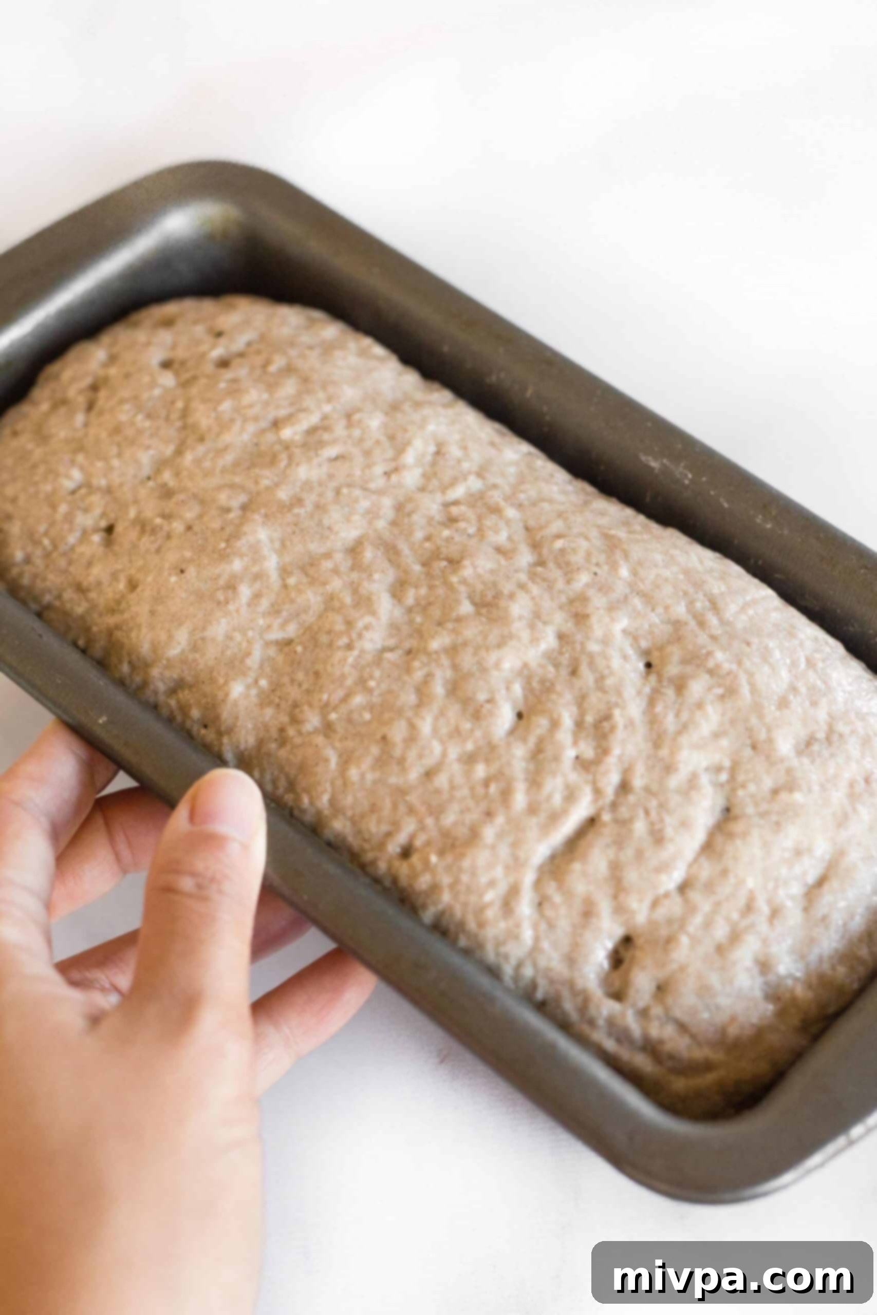 Soft, Fluffy Teff Bread (Gluten-Free, Dairy-Free) Hand holding a metal loaf pan with risen teff flour bread dough.