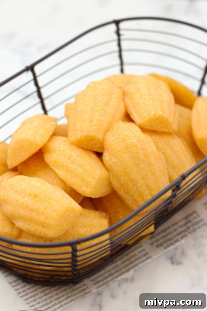 Freshly baked gluten-free cornbread madeleines in a wire basket, golden brown and inviting.