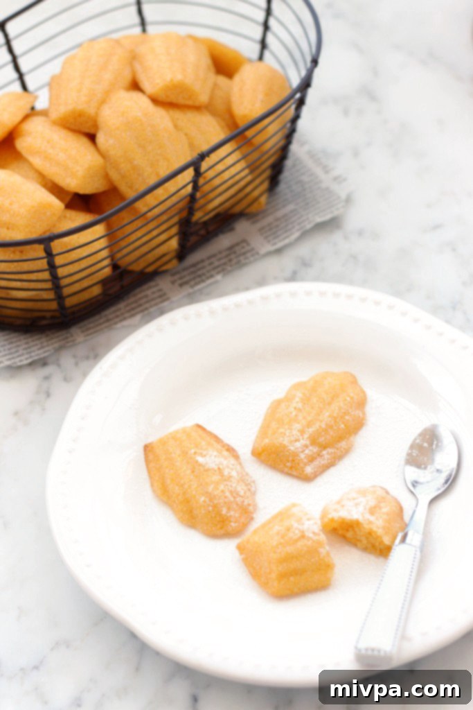 Gluten-free Cornbread Madeleines perfectly arranged, highlighting their texture and appealing color.