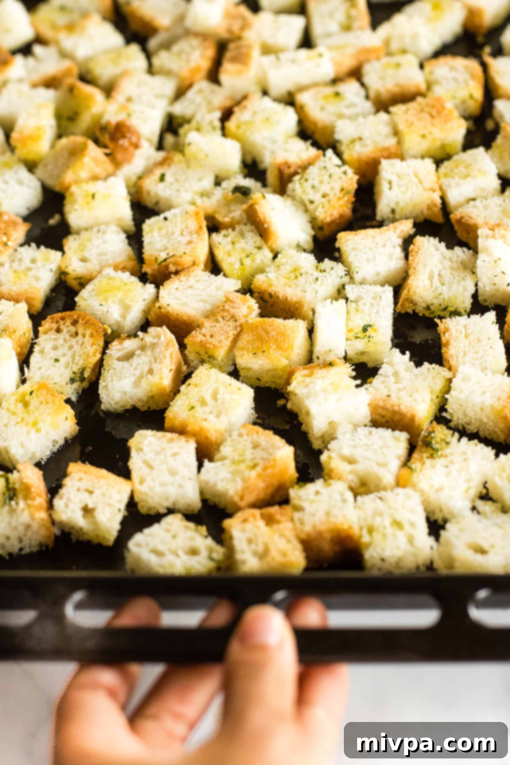 Seasoned bread cubes perfectly spread in a single layer on a baking sheet, ready for the oven.