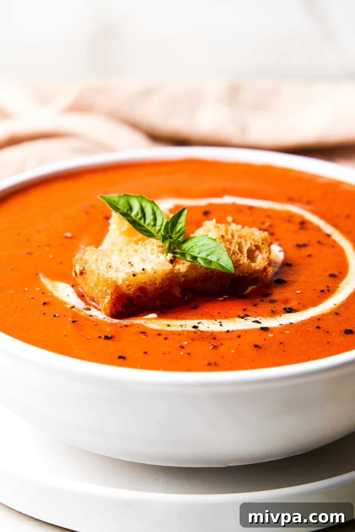 Up close shot of a bowl of gluten-free tomato soup with croutons and basil.