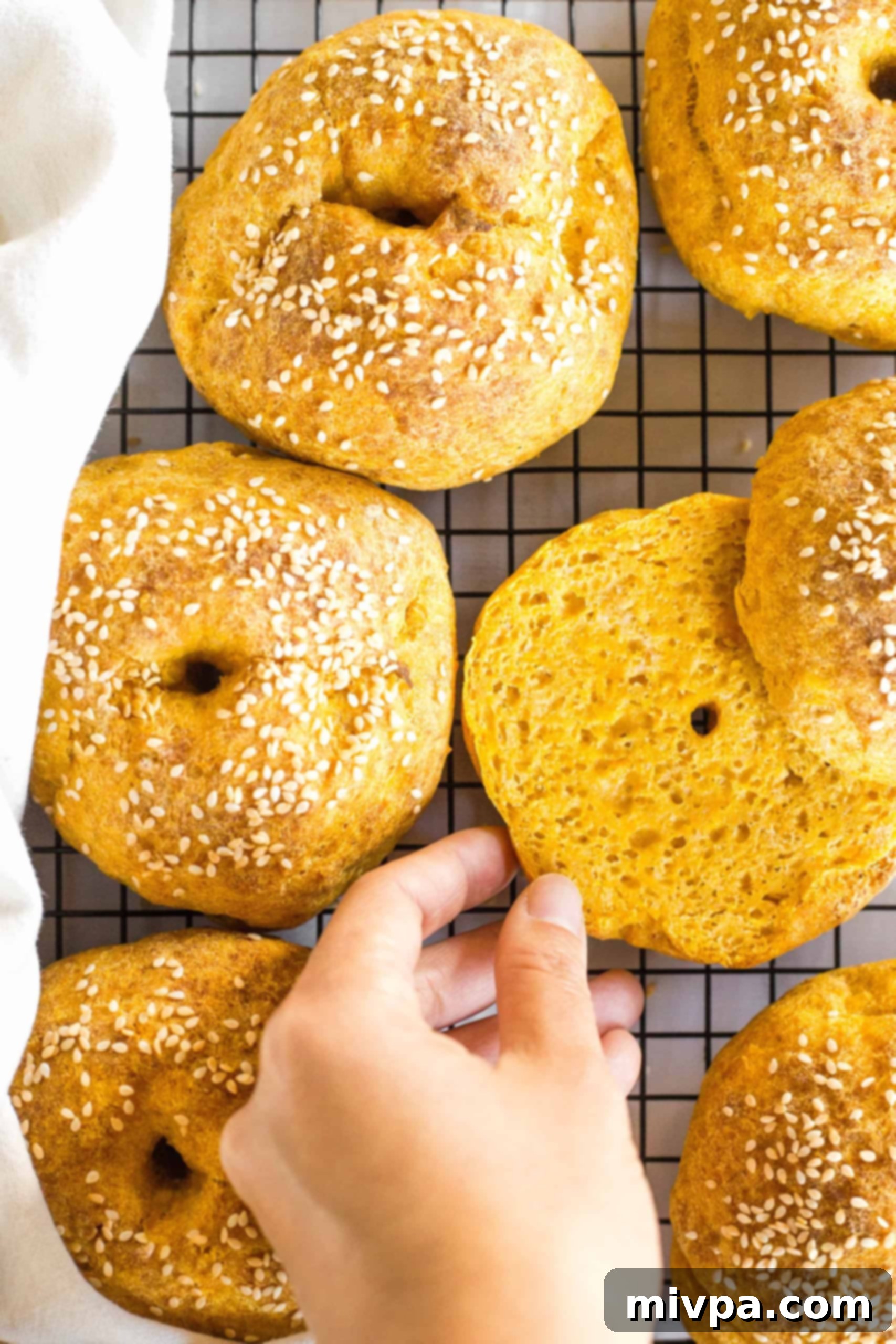 A hand reaching for a perfectly sliced pumpkin bagel on a wire rack, ready for spreading and enjoying.