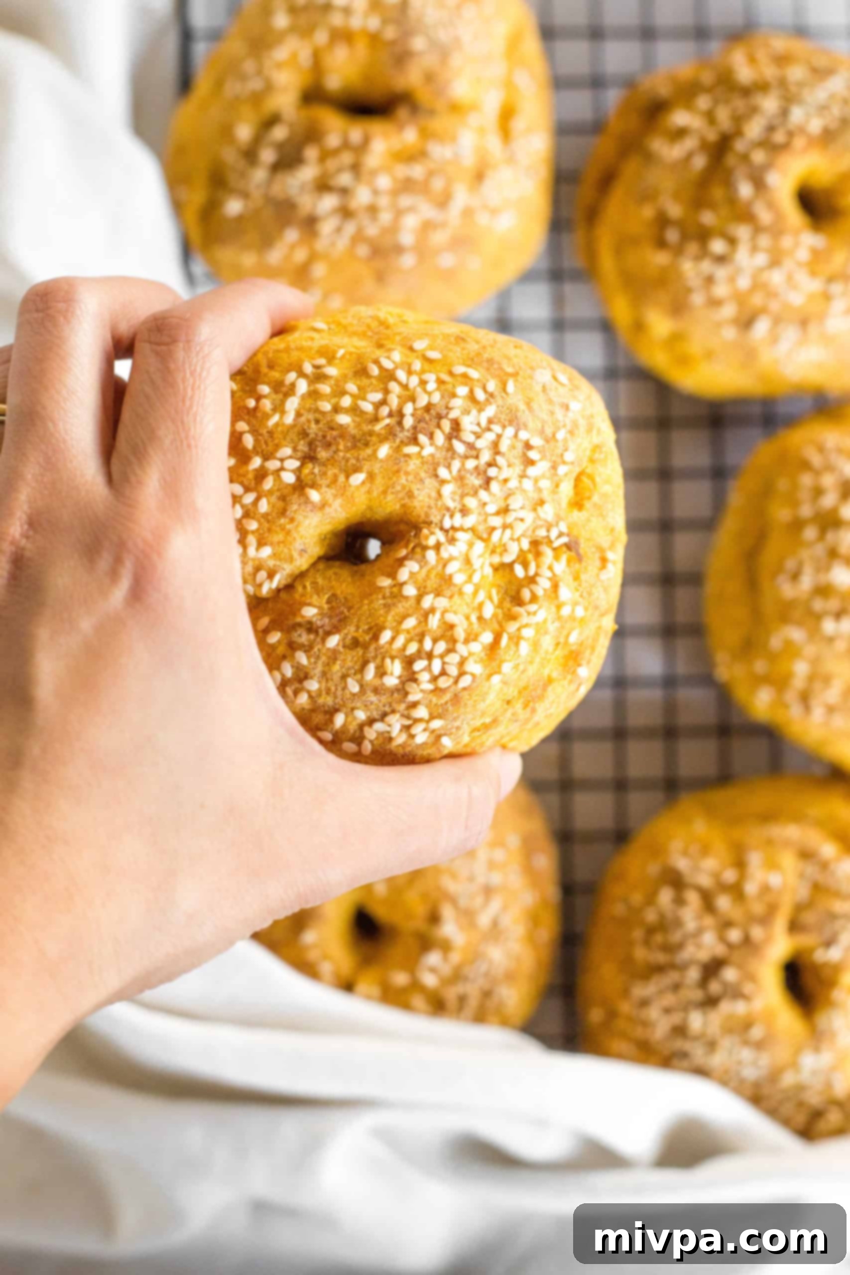 A hand holding up a freshly baked gluten free pumpkin bagel, showing off its perfect shape and golden-brown crust.