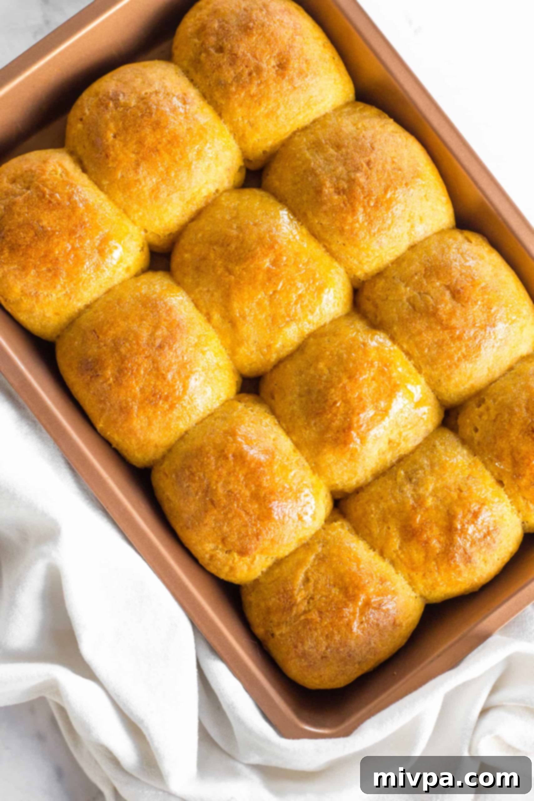 Freshly baked pumpkin dinner rolls in baking pan.