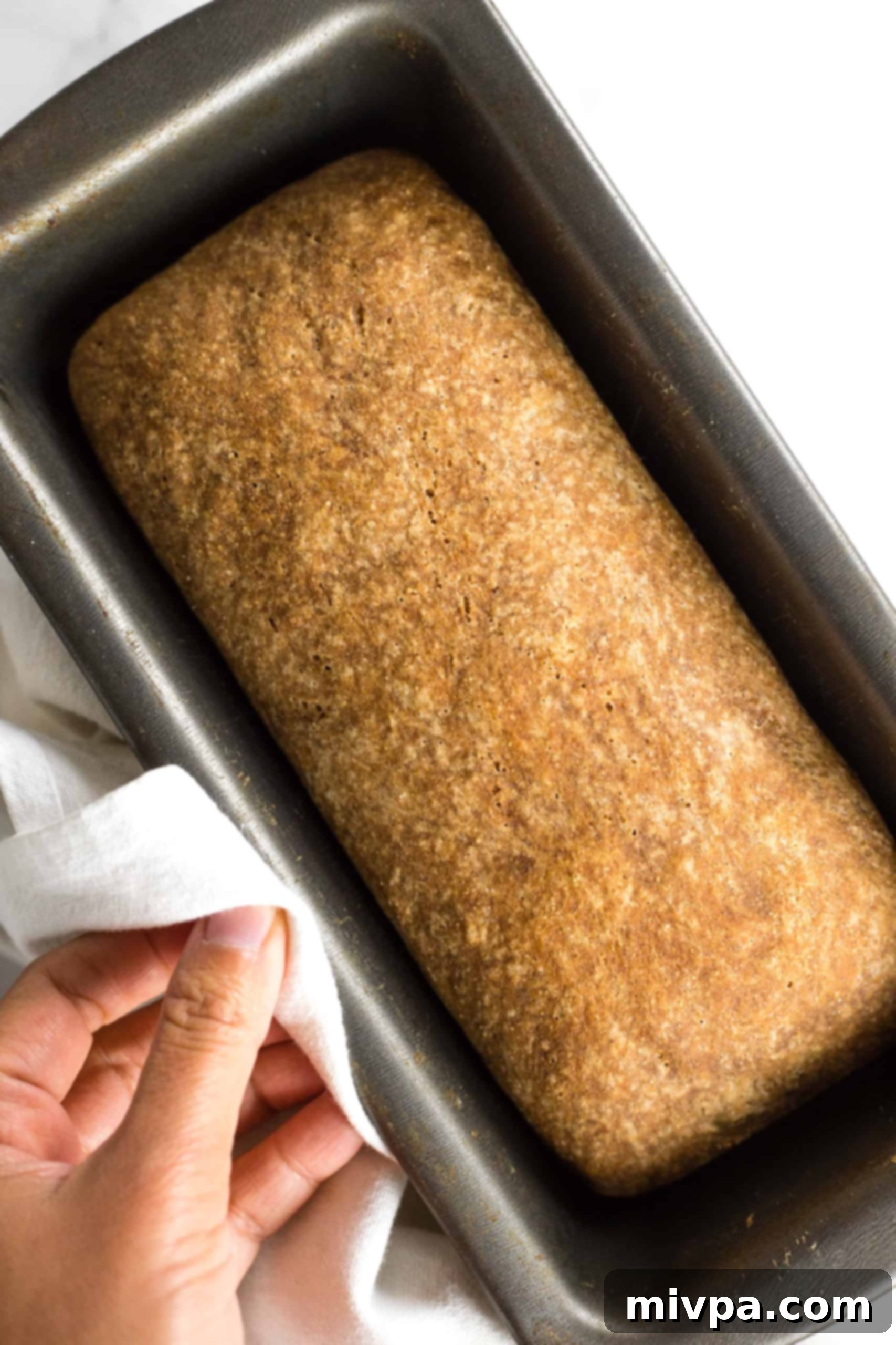 Gluten-Free Whole Grain Bread (Dairy-Free, Vegan) Holding a metal pan with a freshly baked loaf of gluten-free whole grain bread.