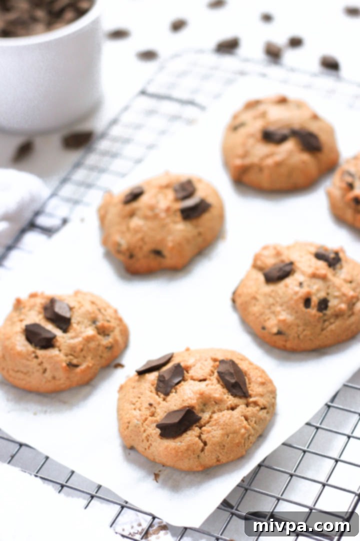 Almond Chocolate Chip Cookies (Gluten-Free, Dairy-Free) Freshly baked gluten-free almond butter chocolate chip cookies.