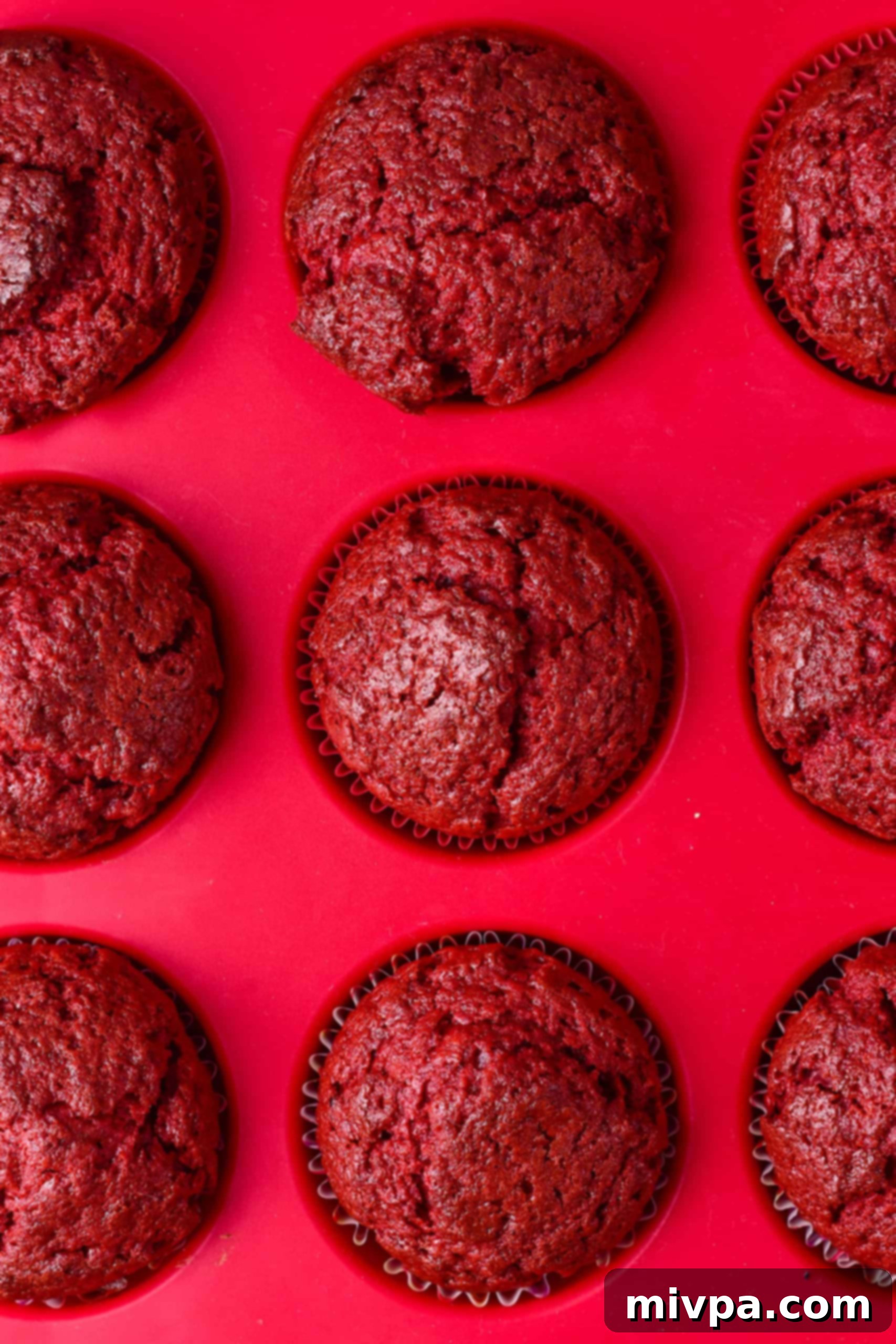 Freshly baked red velvet cupcakes still in muffin mold.