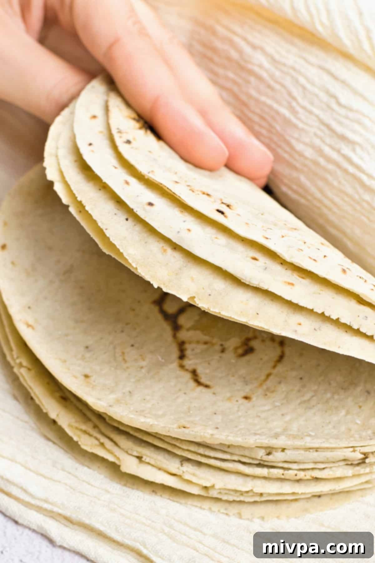 Hand folding corn tortillas.