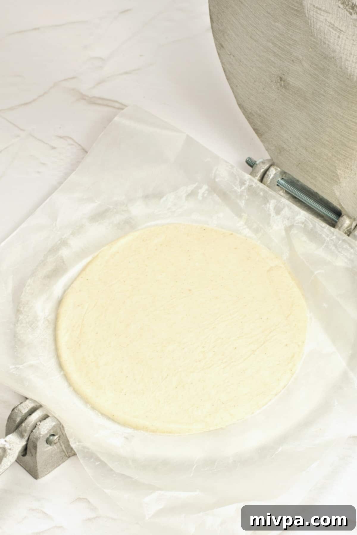 A flattened dough circle on parchment-lined tortilla press.