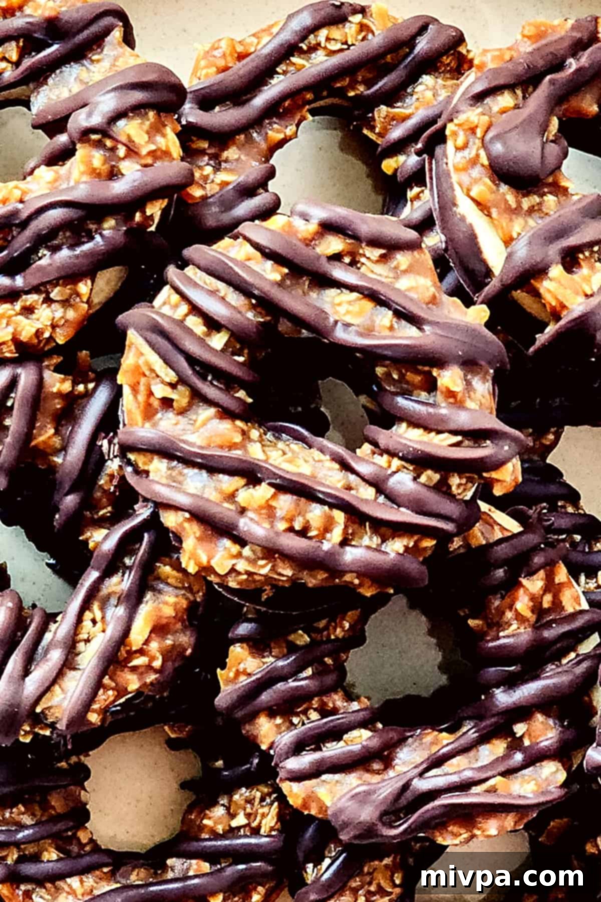 Gluten-Free Samoas Cookies (Dairy-Free) Close up view of homemade samoas.