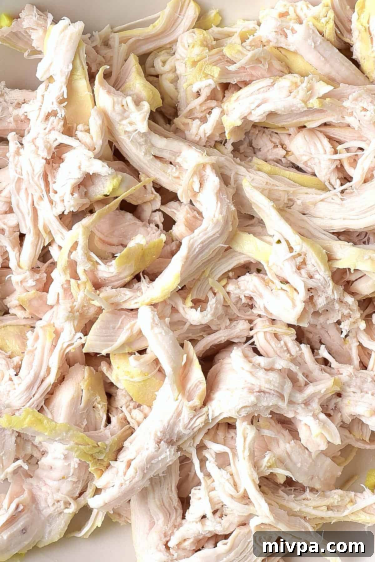 Gluten-Free Matzo Ball Soup (Dairy-Free) - Shredded Chicken Cooked chicken breast, neatly shredded into pieces, on a white plate.