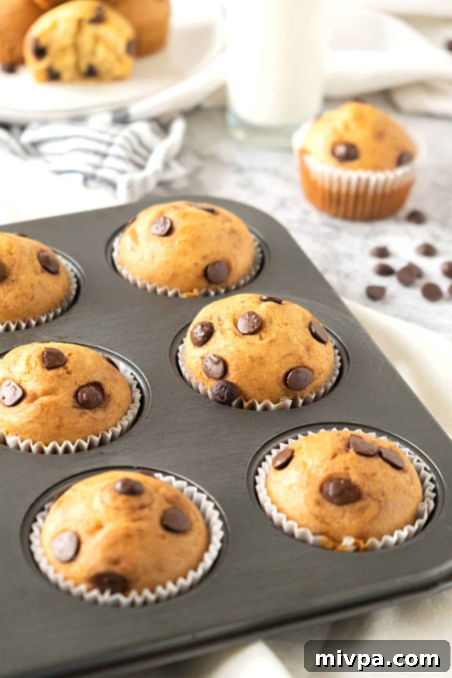 Dairy-Free Chocolate Chip Muffins (Gluten-Free) A muffin pan with freshly baked chocolate chip muffins, still warm and inviting.