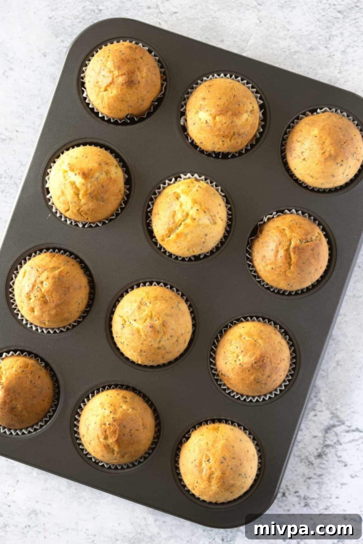 Dairy-Free Poppyseed Muffins A pan of freshly baked, golden-brown lemon poppy seed muffins, just removed from the oven.