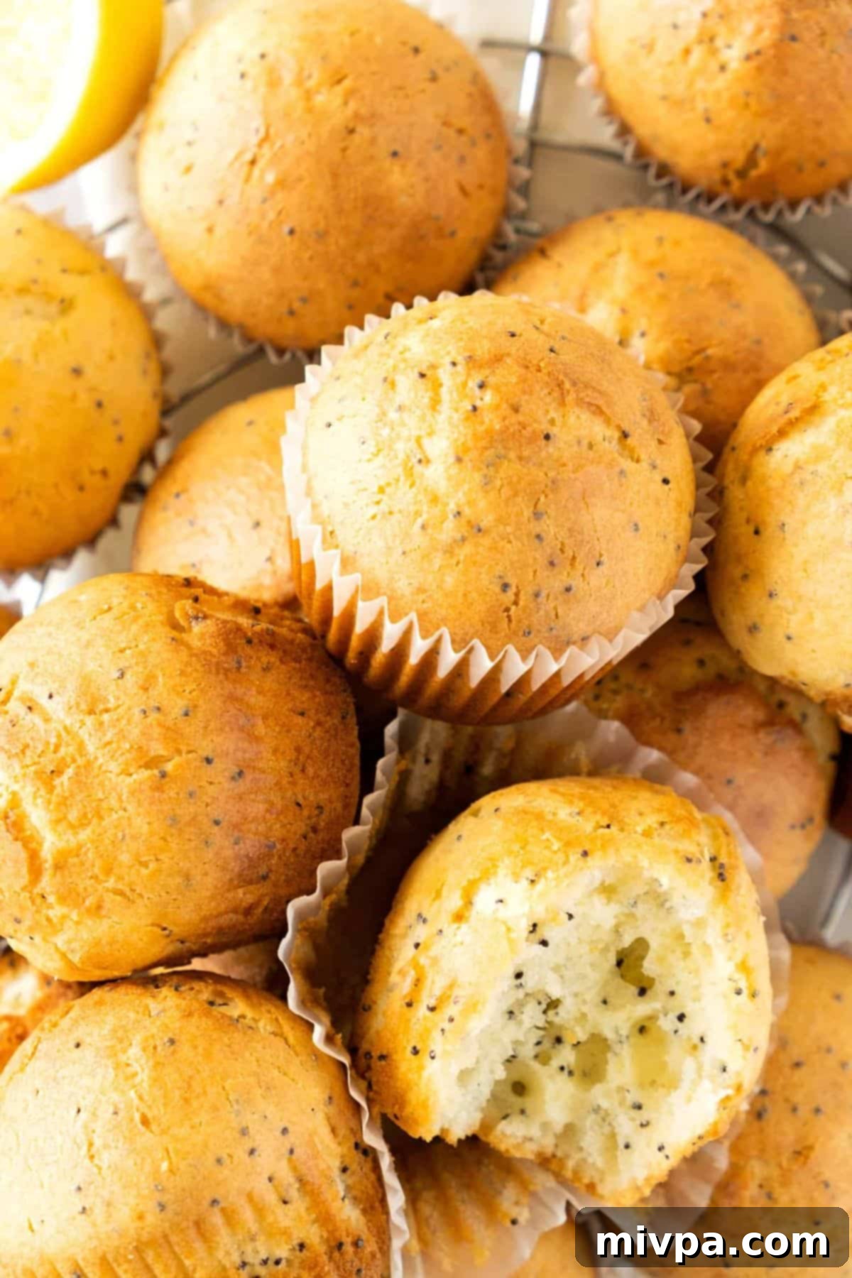 Gluten-Free Dairy-Free Lemon Poppy Seed Muffins A top-down view of several half-eaten gluten-free lemon poppy seed muffins, showing their fluffy interior and poppy seed flecks.
