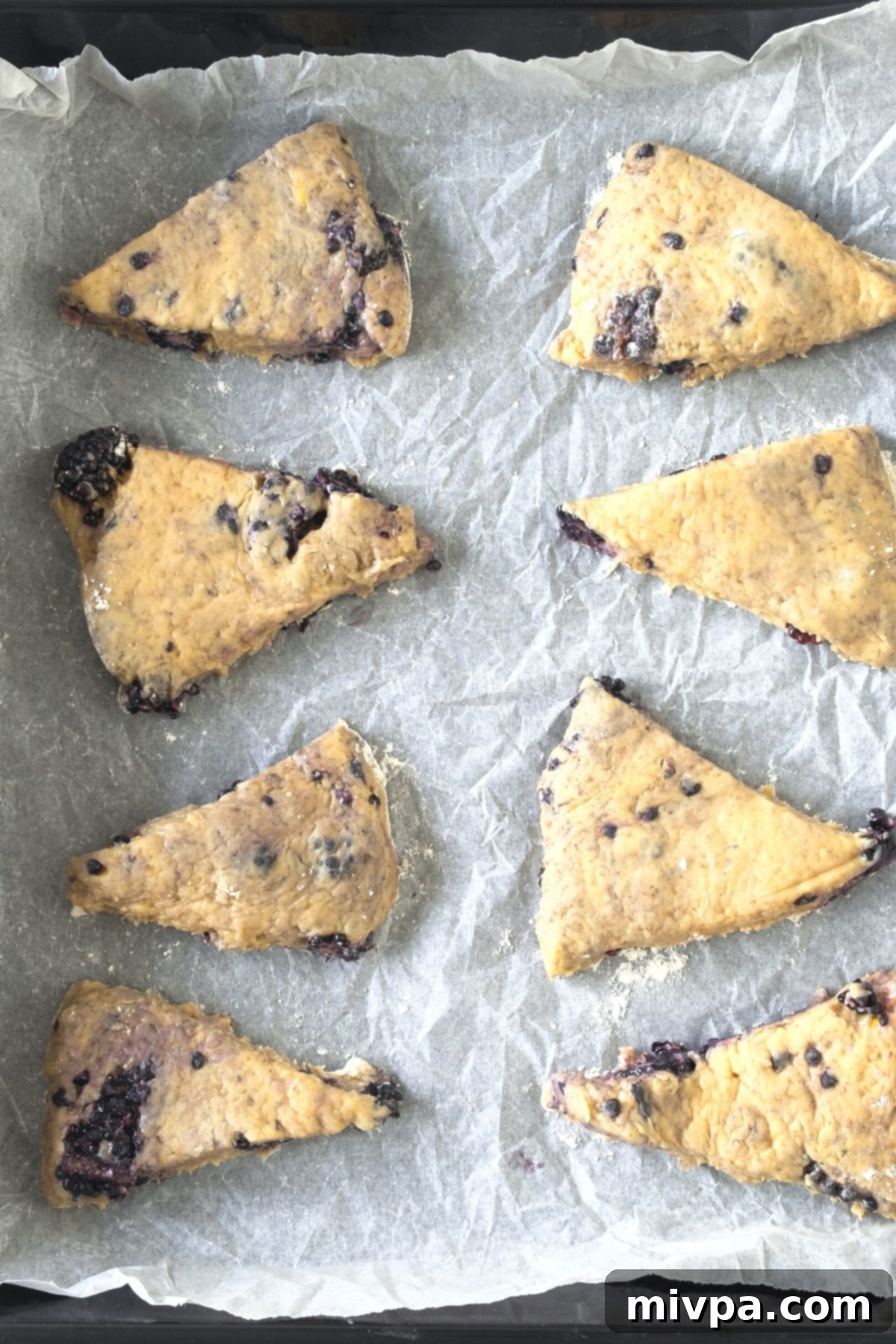 Gluten-Free Blackberry Scones (Dairy-Free) Ready to Bake Uncooked scone wedges on parchment paper, brushed with cream and sprinkled with sugar.