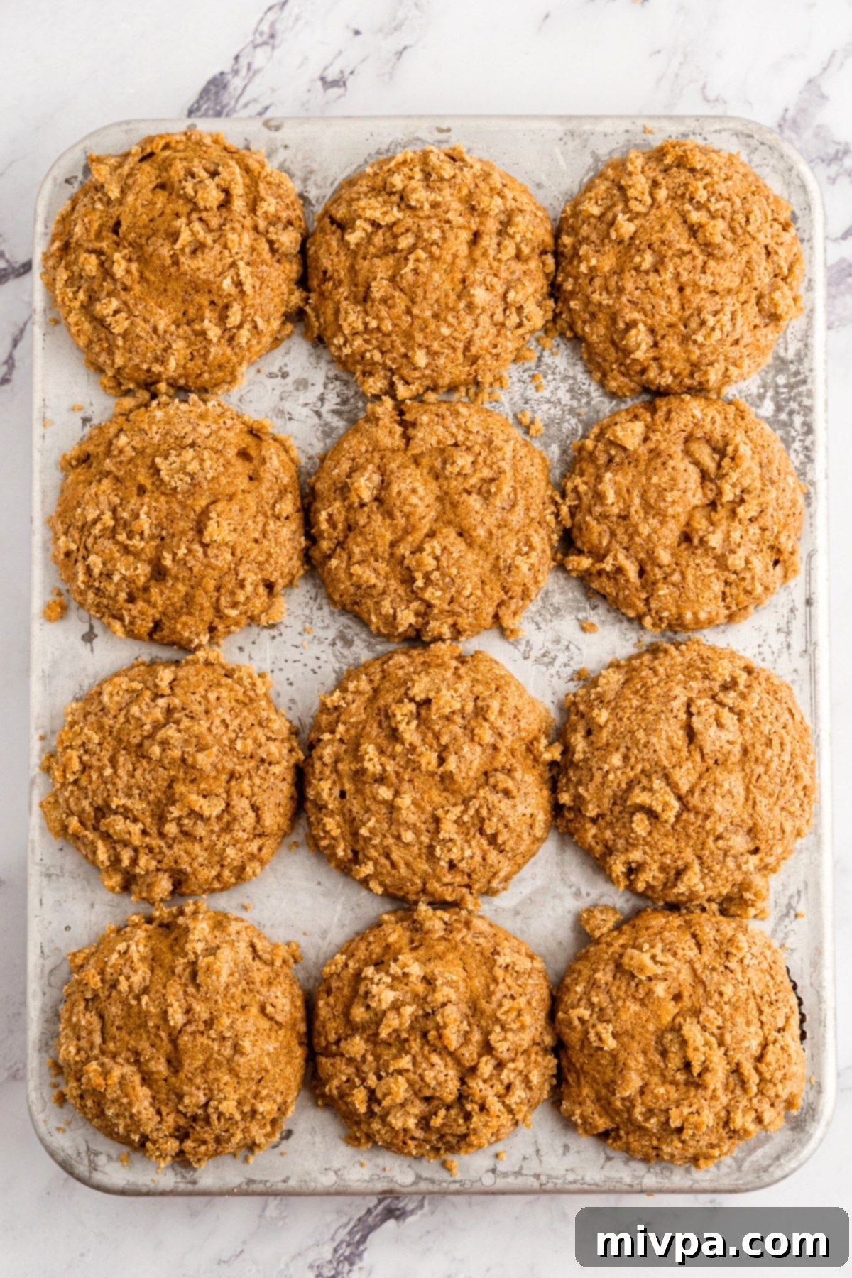 Freshly baked applesauce muffins in muffin pan.