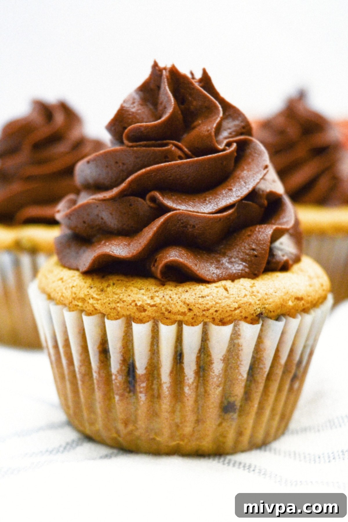 Chocolate chip pumpkin cupcakes (gluten-free, dairy-free) Head-on view of chocolate-frosted gluten-free pumpkin cupcakes, invitingly presented.