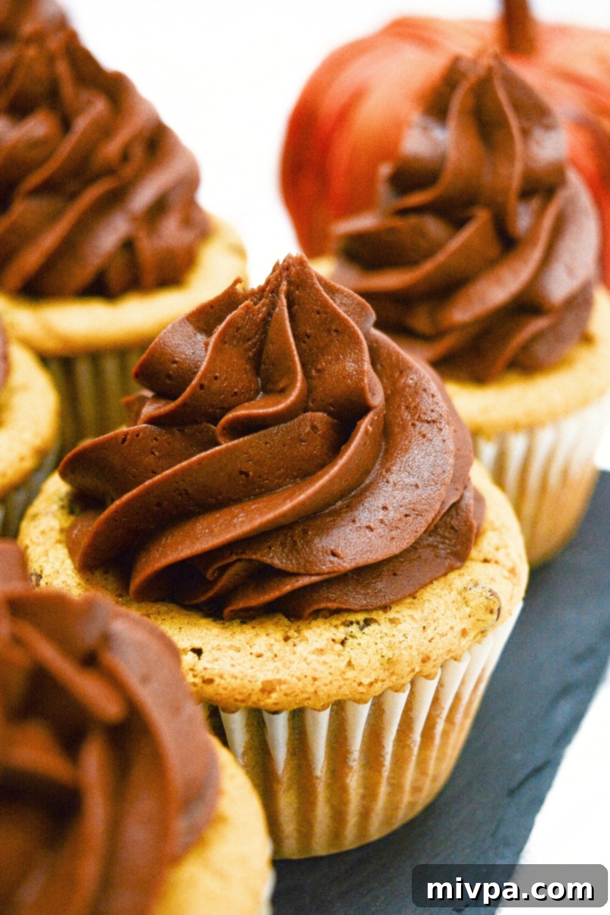 Easy Pumpkin Cupcakes (Gluten-Free, Dairy-Free) Up close shot of two gluten-free pumpkin cupcakes with chocolate frosting on a rustic black board, ready to be enjoyed.