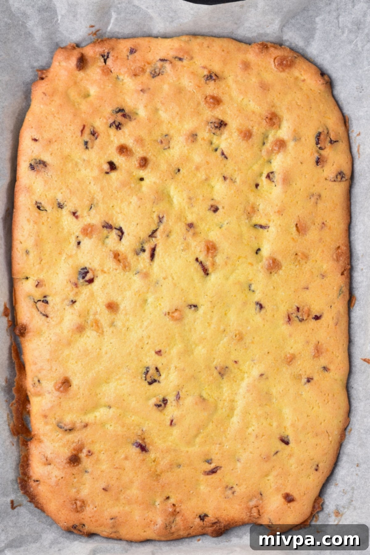 Gluten-Free Cranberry Bliss Bars (Dairy-Free Baked) Freshly baked blondie cake, golden brown and perfectly risen, resting in its parchment-lined pan after coming out of the oven.