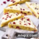 Irresistible Cranberry Bliss Bars Gluten Free Dairy Free 2 A perfectly portioned gluten-free cranberry bliss bar, showcasing its layers and festive appearance.