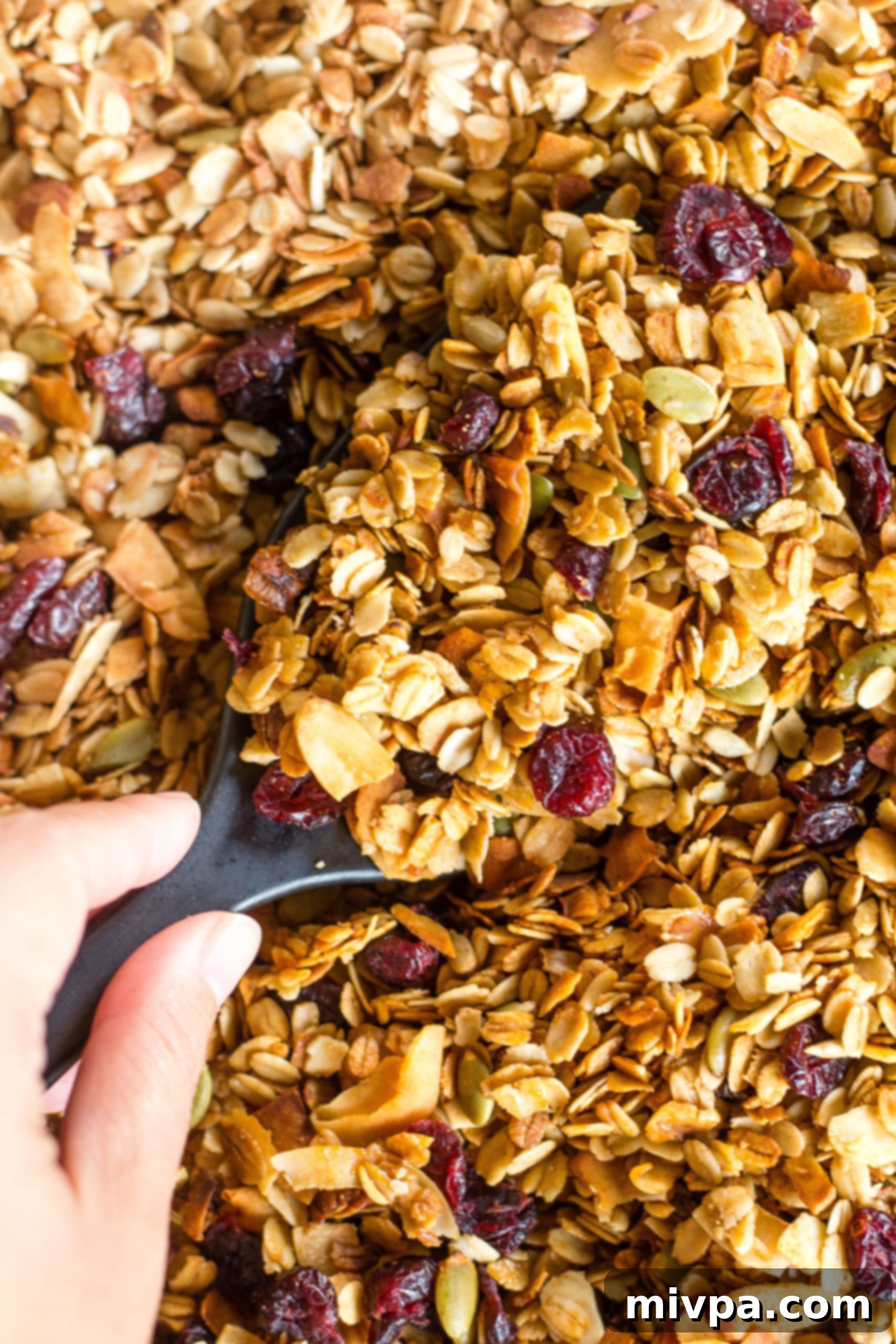 How to Make Gluten-Free Granola (Vegan) Up close view of homemade granola.