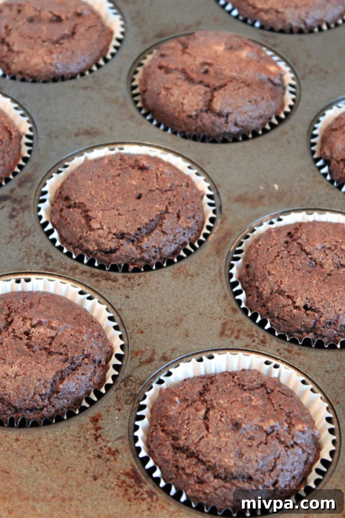 Freshly baked gluten-free chocolate muffins still in their liners in a muffin tin, having just come out of the oven.