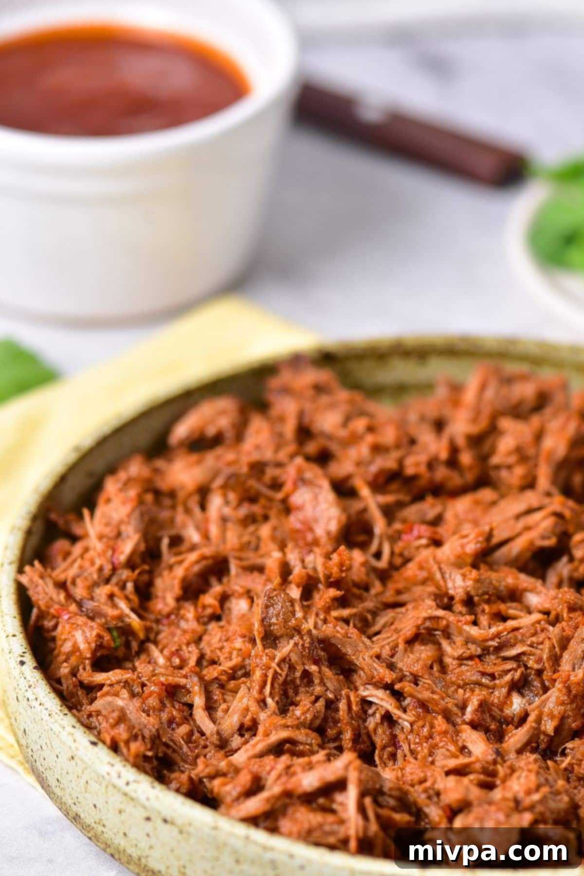 A bowl of Beef Birria garnished with cilantro and onions, with tortillas nearby.